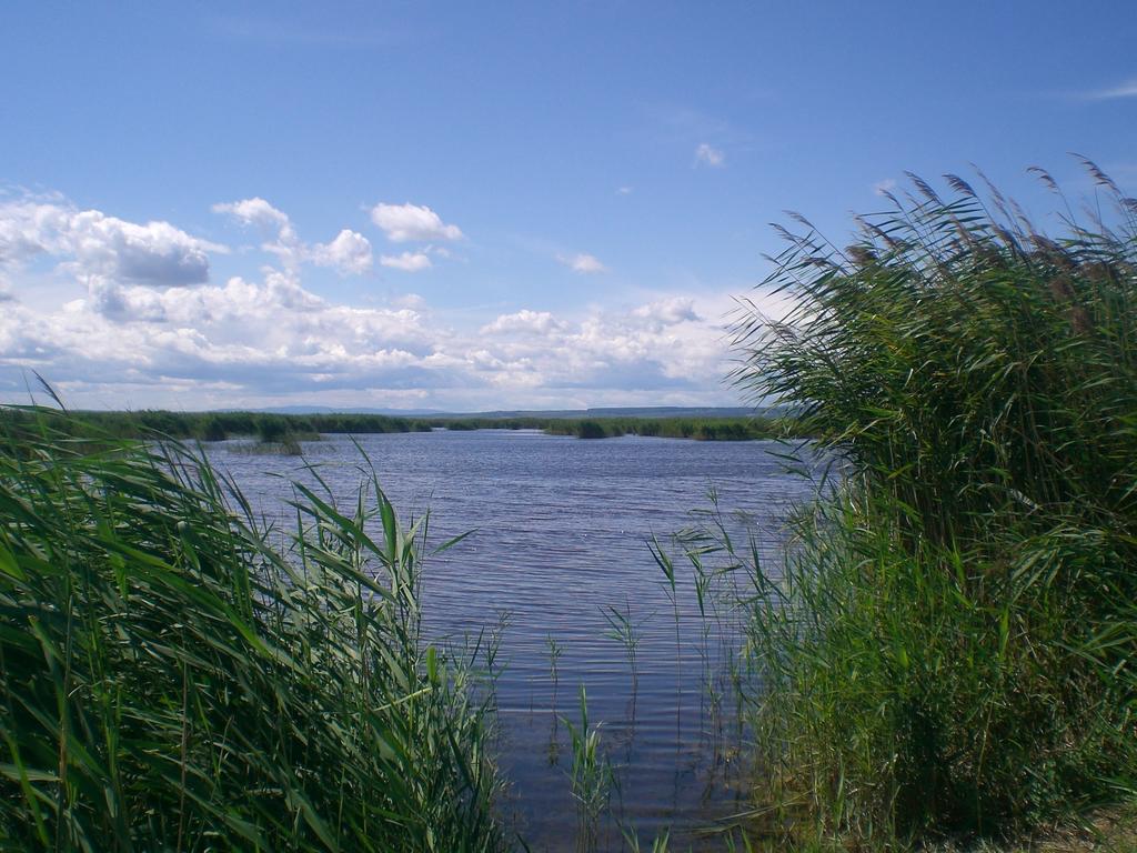 Ferienwohnungen Feldsee Illmitz Εξωτερικό φωτογραφία