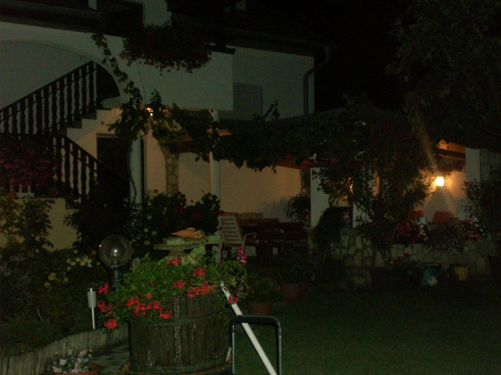 Ferienwohnungen Feldsee Illmitz Εξωτερικό φωτογραφία