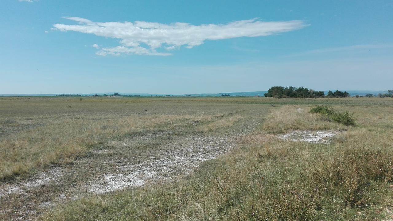 Ferienwohnungen Feldsee Illmitz Εξωτερικό φωτογραφία