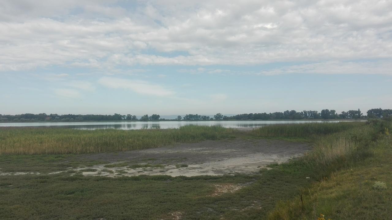 Ferienwohnungen Feldsee Illmitz Εξωτερικό φωτογραφία