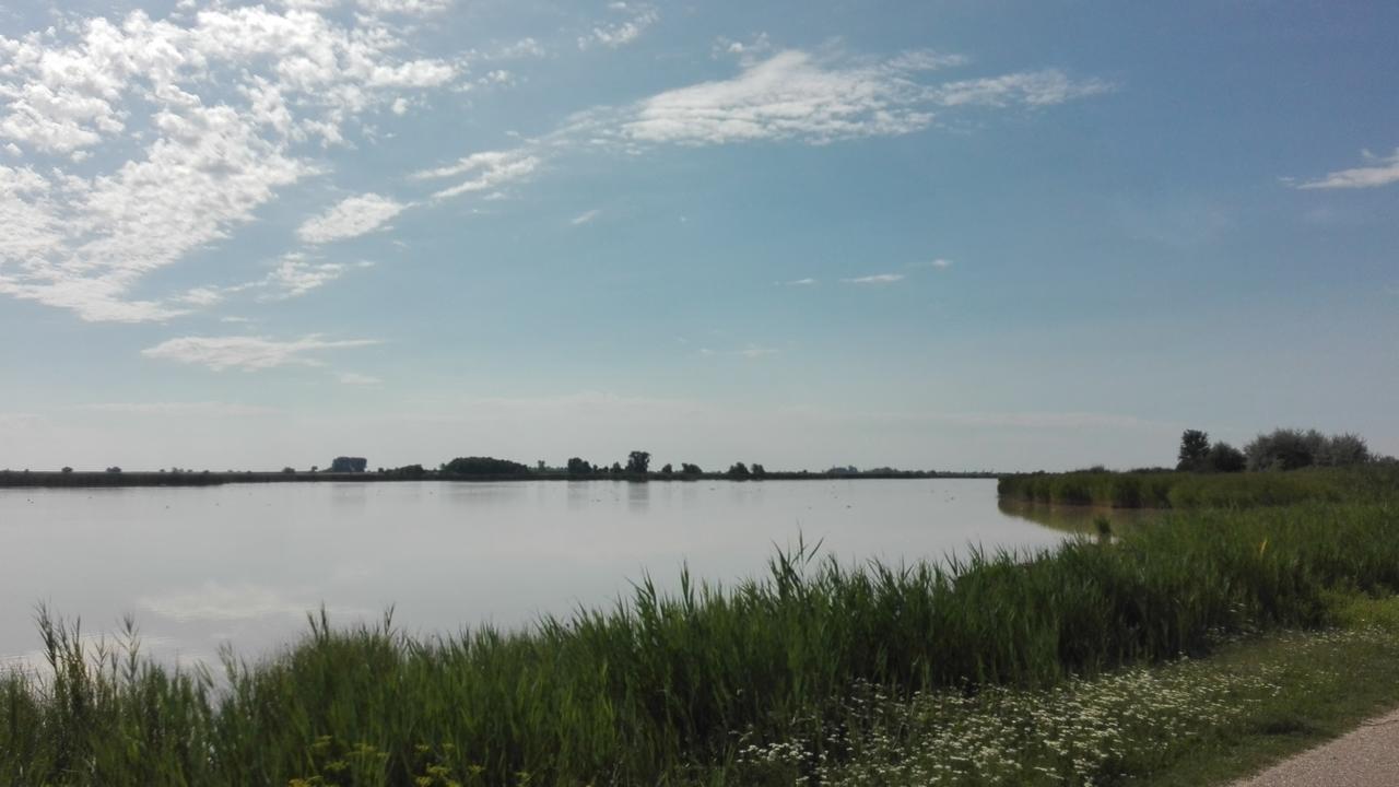 Ferienwohnungen Feldsee Illmitz Εξωτερικό φωτογραφία